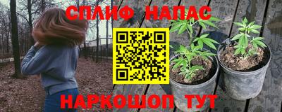 гидра Апрелевка