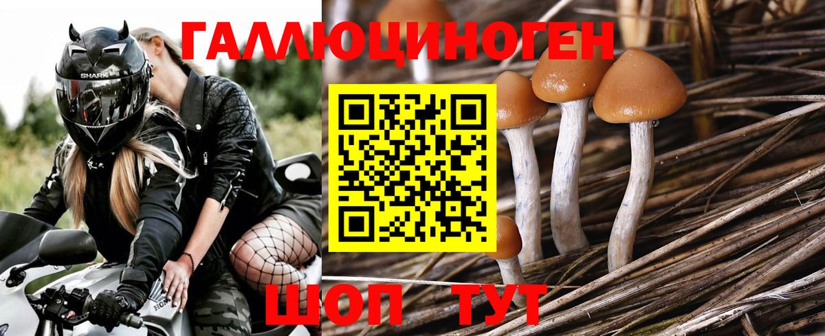 Галлюциногенные грибы мухоморы Белорецк